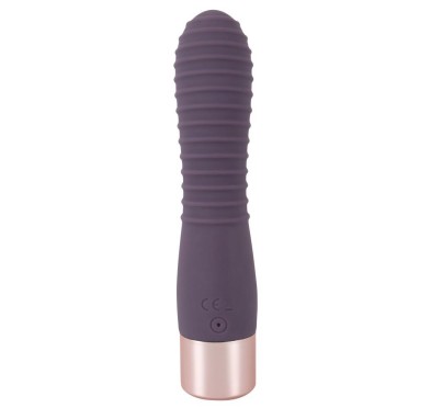 Elegant Vibrator Flexy Vibe